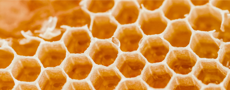 bienfaits du miel